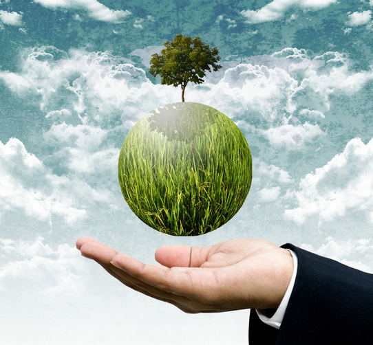 Ramonage nantes reze 44 Ramoneur poêles a bois buche et granulé